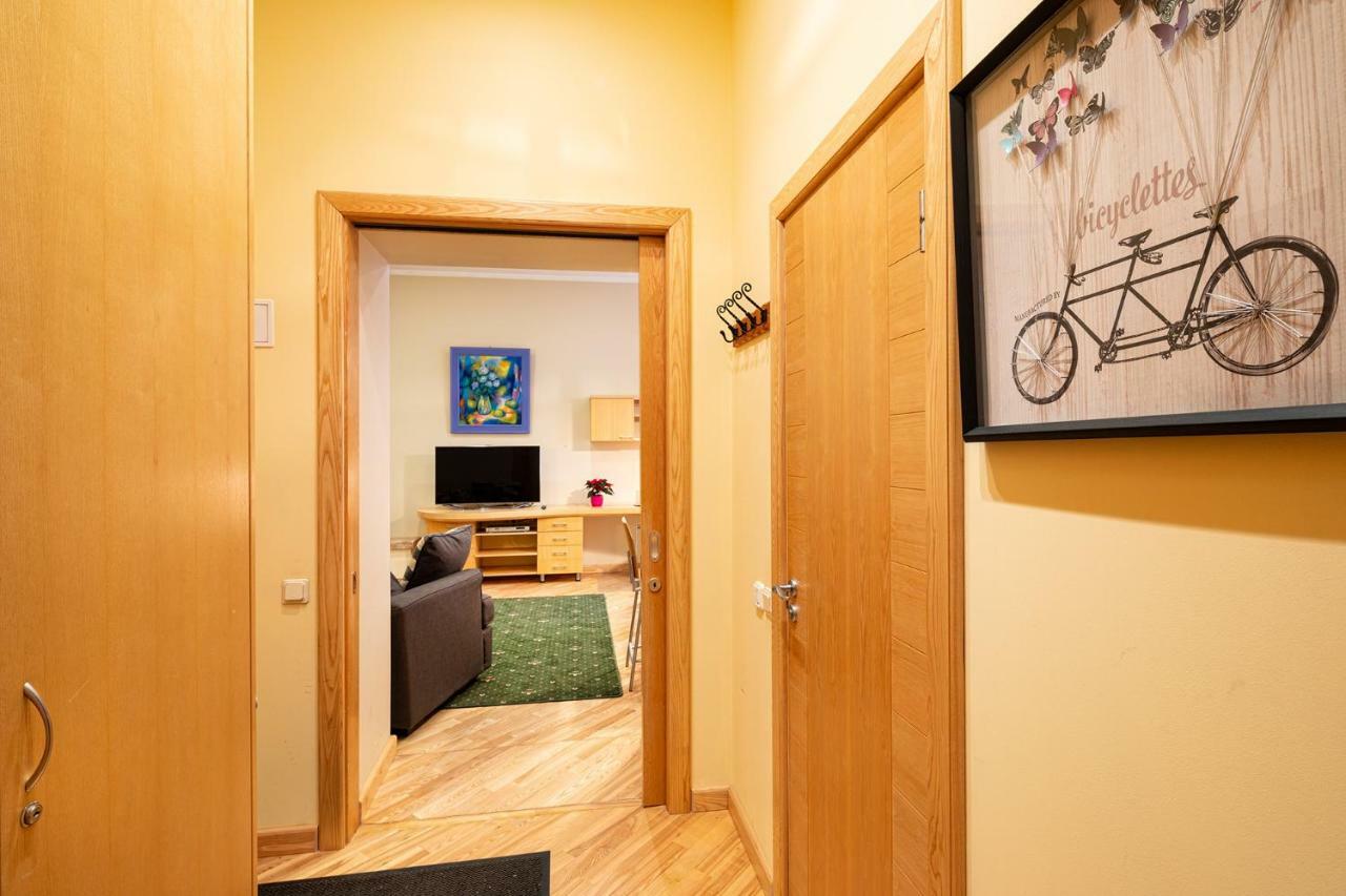 Kalnina Quiet Apartment In City Center ريغا المظهر الخارجي الصورة